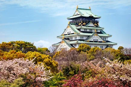 flori de cires din Japonia - cele mai bune locuri pentru admirarea (foto și video)