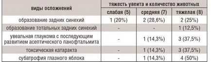 кучета увеит, причинени от контузии очи