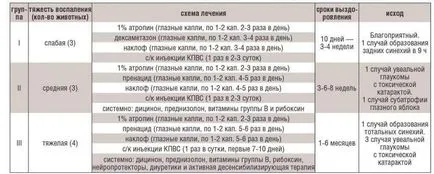 кучета увеит, причинени от контузии очи