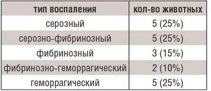 кучета увеит, причинени от контузии очи