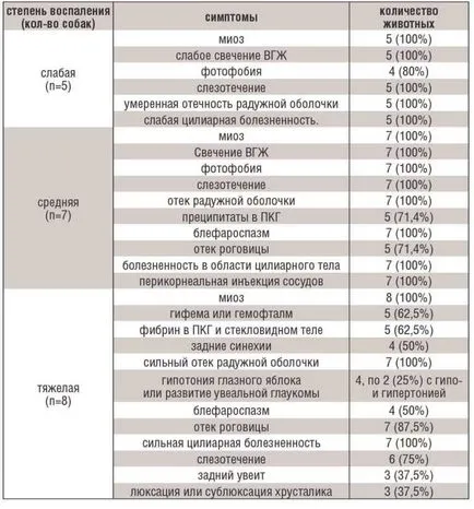 câini uveita cauzate de ochi contuzie