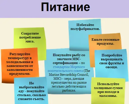 Екологичният отпечатък в различни области на ежедневието