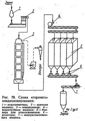 Hidrotermikus kezelés gabona - kenyér szól technológia