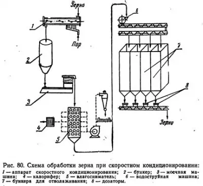 Hidrotermikus kezelés gabona - kenyér szól technológia