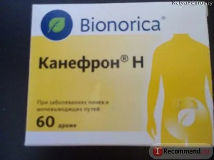 Homeopatie Bionorica kanefron n comprimate - „un efect ușoară asupra organismului