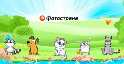 Игри на fotostrane, на вашия домашен любимец на fotosrane