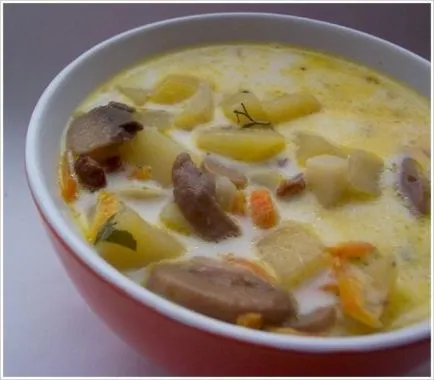 Гъби супа с стриди гъби - рецепта и общите принципи за получаване на първите ястия