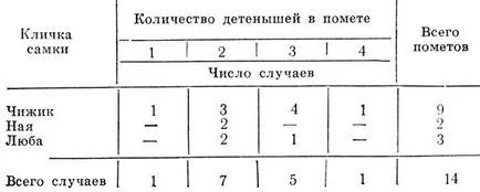 Reproducerea, dezvoltarea speranței de viață și Tigris din 1966 - stăpânul junglei