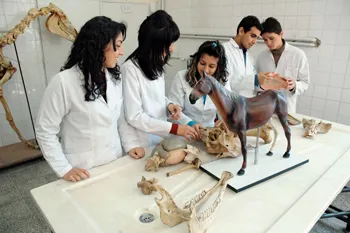 Colegiul veterinar