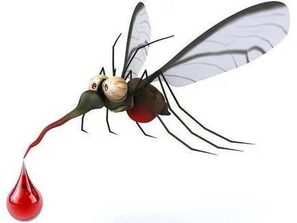 Cum să scapi de țânțari în natură