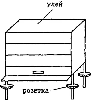 Cum de a neutraliza furnicile - practica de apicultori amatori - o boală a albinelor