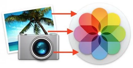 Cum de a găsi fotografiile originale de fotografii de pe OS X, software-ul Apple pe