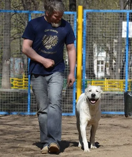 Cum de a găsi un limbaj comun cu câinele