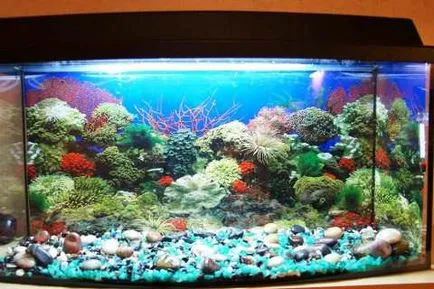 Какво земята е необходима за аквариума