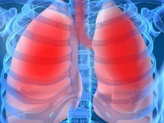 Как да се чисти на белите дробове и бронхите чрез различни средства и методи