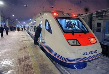 Cum de a transporta o pisică într-un tren în România