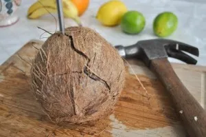 Cum să împartă o nucă de cocos