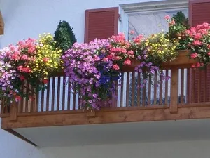 Cum de a alege brațele potrivite pentru cutii de balcon și vase, caracteristici și opțiuni de proiectare