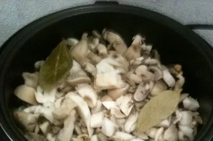 Cum de a găti ciuperci stridii în fotografii multivarka și rețete de preparate din ciuperci