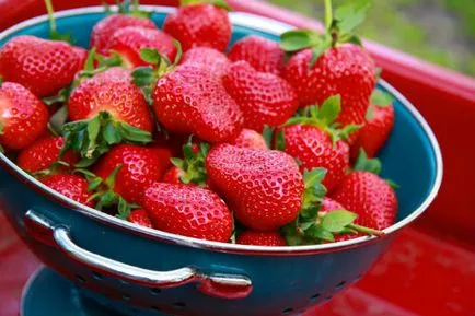 Как да съхранявате ягоди практически съвети