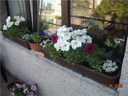 Cum de a alege brațele potrivite pentru cutii de balcon și vase, caracteristici și opțiuni de proiectare