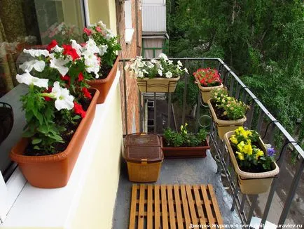 Cum de a alege brațele potrivite pentru cutii de balcon și vase, caracteristici și opțiuni de proiectare