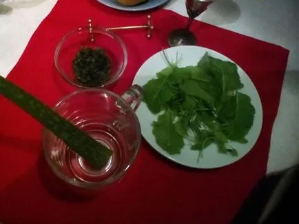 Hogyan kell elkészíteni egy italt a aloe vera otthon