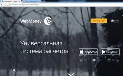 Cum de a crea WebMoney pungă, întrebați cum