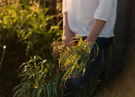 Cum de a reduce amprenta ta ecologică - un mod de viață - un oraș verde - trăiesc organice