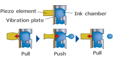 Как да изберем термосублимационна принтер (за сублимация) - Принтери - Базата знания