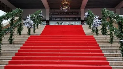 atracții Cannes