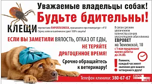 CDC evrovet, clinica veterinara din Novosibirsk pentru animale de companie