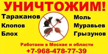 Mosquitos - мечта Interpreter ще интерпретира този знак