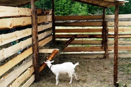 Troacă pentru capre ca să facă cu mâinile lor, diagrame, fotografii