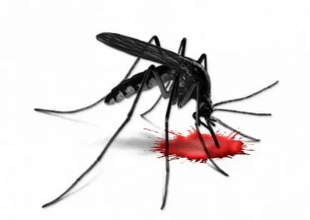 Mosquitos - Vis Interpret va interpreta acest semn