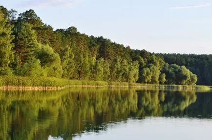 Forest - mândria Altai Kraina, Societatea geografică Rusă