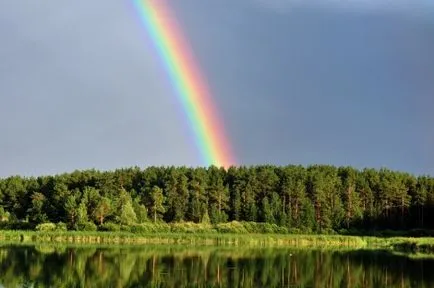 Forest - mândria Altai Kraina, Societatea geografică Rusă