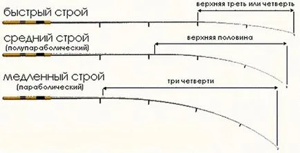 Риболов на хранилката за начинаещи, производственото оборудване и фидер риболов