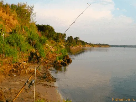 pescuit Pike în iulie, sfaturi pescari