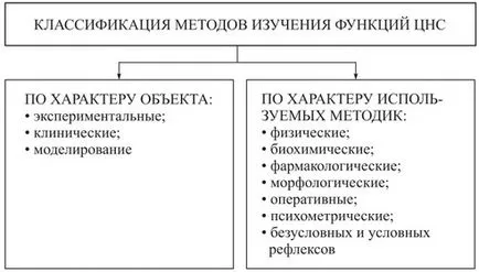 Metode de studiu a sistemului nervos