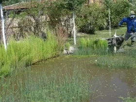 Útburkoló kerti utak alaptípusa talajok pálya a kertben