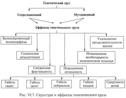 patologie ereditara, ca urmare a variației genetice - studopediya