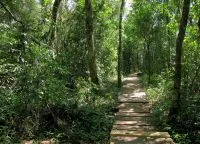 Iguazu National Park, Iguazú nacional parque