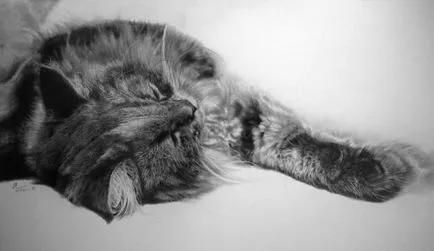 imagini ireale frumoase de pisici desenate în creion, de la Bro