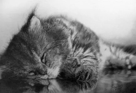 Unreal красиви снимки на котки, направени в молив, от Bro