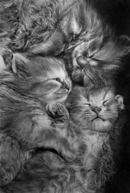Unreal красиви снимки на котки, направени в молив, от Bro