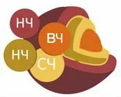 Нищо не намери за glosarie miratools mnogofunkcionalnyj pomoshhnik