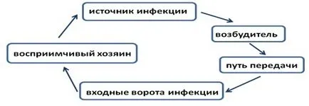 Знайте, Intuit, лекция, превенция IHS