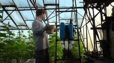 uborka üvegházban feldolgozás általános információkat, amelyek az elvégzett, a hagyományos receptek, használata