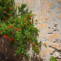 Spinalonga-sziget - egy útmutató, hogy a Kréta szigetén, Görögországban Heraklion - py